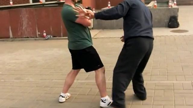 Fighting Arts - Yin Style Bagua Pushing strikes - Dragon system смотреть онлайн
