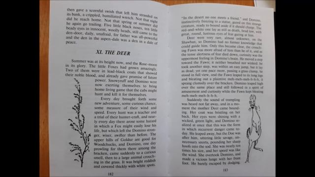 Обзор новых книг-билингва «Через тернии к звездам» смотреть онлайн