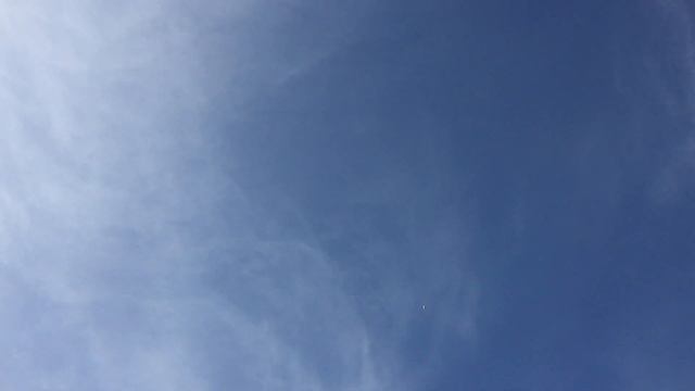 Голуби Викторовича 03.02.2022г. Орловский район,Ростовская область