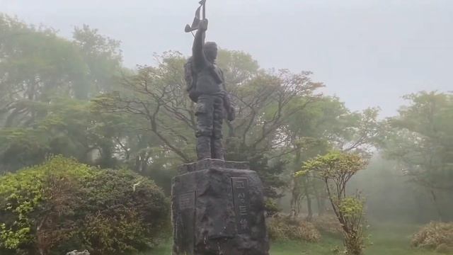 ? ТУМАННЫЙ ЛЕС. ОСТРОВ ЧЕДЖУ (JEJU) | Южная Корея
