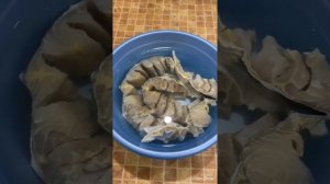 Солим вялим осётр в домашних условиях.