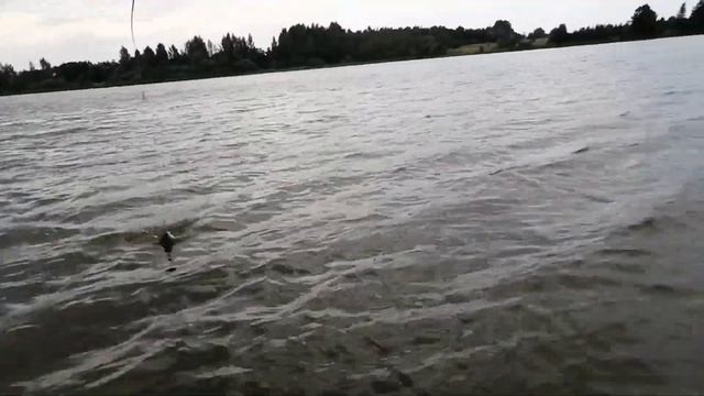 РЫБАЛКА НА ОЗЕРЕ КАРАСЬ ЛИНЬ ШУКА ЛЕЩ СОРОГА АВГУСТ...