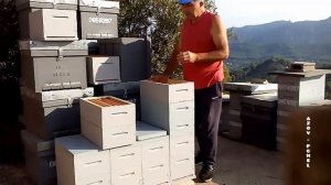 Как правильно работать с 6-ти рам (How to work with 6 frames) #Пчеловодствов6тирамочныхульях#