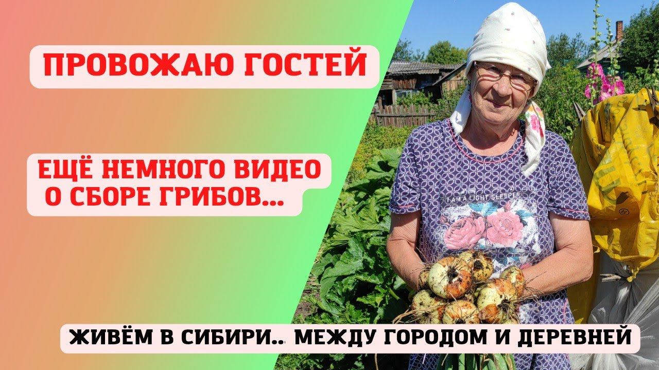 10.08.2022 Собираю гостей в путь дорогу. Немного видео о сборе грибов...
