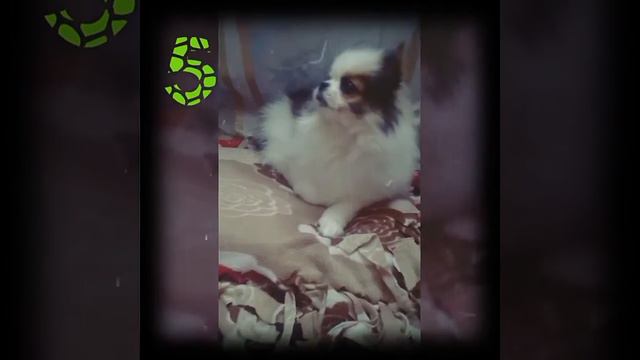 10 фактов обо мне смотреть онлайн