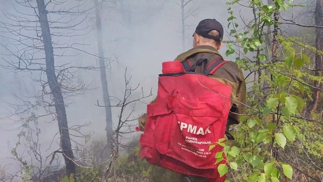 "Авиалесоохрана" Олёкминское отделение лето-2020 года. смотреть онлайн