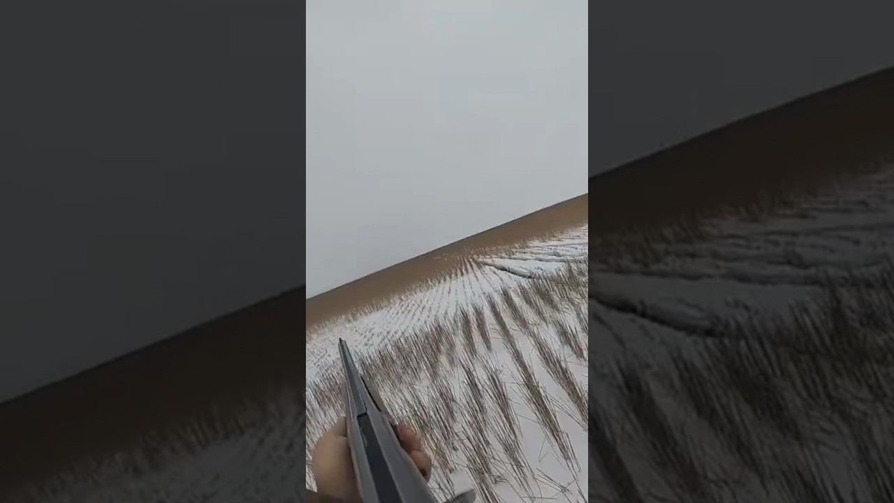 Добор подранка #охота #охотаназайца смотреть онлайн