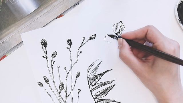 Speedpaint: Рисую тушью ботаническую иллюстрацию, сет для шаттерстока смотреть онлайн