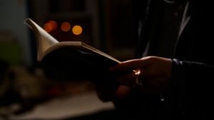 Иосиф Бродский.
Пленное красное дерево.
Римские элегии.
Проект «МЫ».