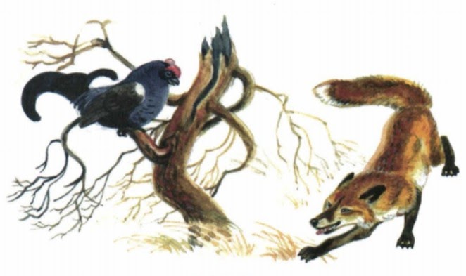 Сказка "Лиса и тетерев" аудиосказка смотреть онлайн