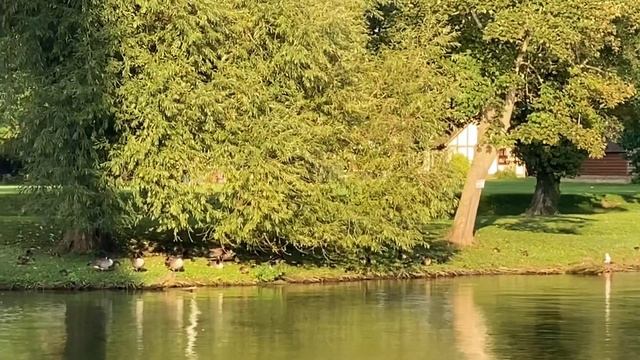 Унылая пора, очей очарованье..Английская осень, Windsor, UK смотреть онлайн