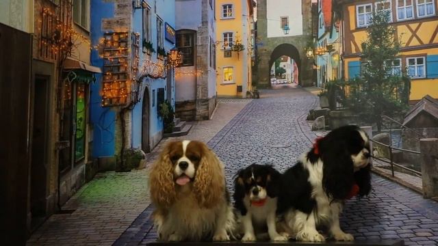 ДЕВОЧКИ БАРБИ и БЛЕК СТАР ЛЕДИ 30 .01 2018