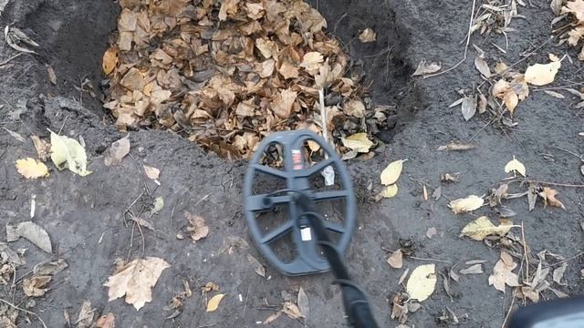 Minelab X-Terra Pro - Тест на дрібне золото #металлоискатель #металошукач #minelab #minelabdetector смотреть онлайн