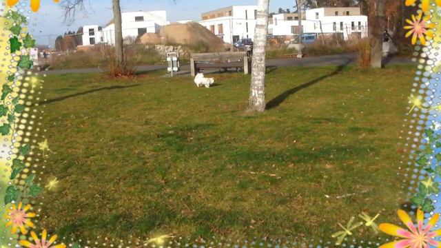 Запускаем воздушного змея(БАБОЧКУ)? с внучкой☀️24.11.2017 смотреть онлайн