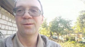 Когда Как Зачем давать ХЛОРКУ ПЧЁЛАМ