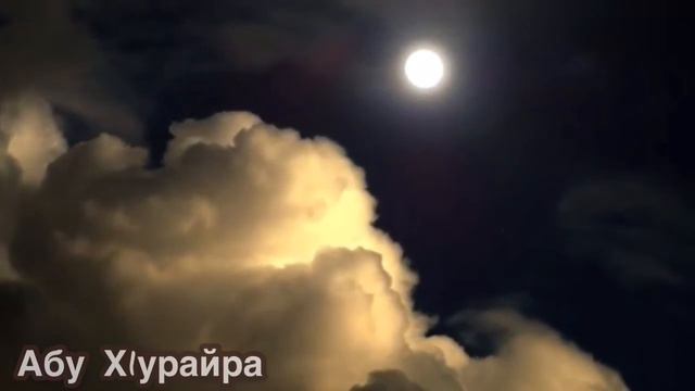 Доьзал кхиор смотреть онлайн