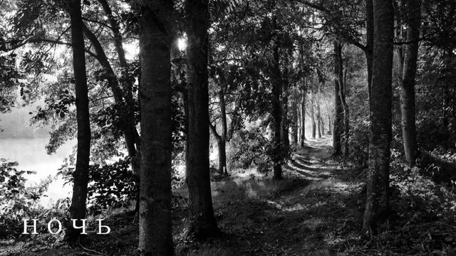 СТРАШНЫЕ ИСТОРИИ ПЕРЕД СНОМ?. НОЧЬ. смотреть онлайн