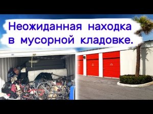 Неожиданная находка в мусорной кладовке.
