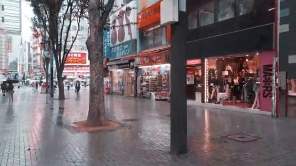 Что Такое Http И Https От А До Я