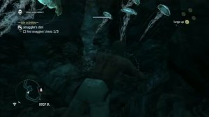 Assassin´s Creed 4 - Treasure Map - 55, 178 Ambergris Key