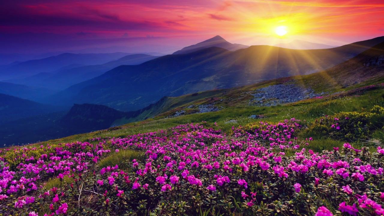 15 МИНУТ ДЛЯ НАПОЛНЕНИЯ ЭНЕРГИЕЙ смотреть онлайн