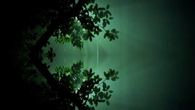 Музыка дождя для успокоения… смотреть онлайн