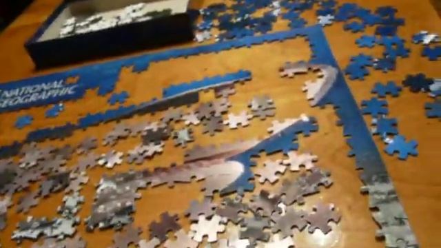 3D Shark PUzzle Review and Frustrations National Geographic смотреть онлайн