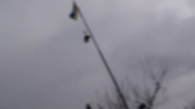 ПЕТРО ЗАНИМАЕТСЯ ПОСЛЕ ОБЕДА! МОИМИ ГОЛУБАМИ. 07.02.21г смотреть онлайн