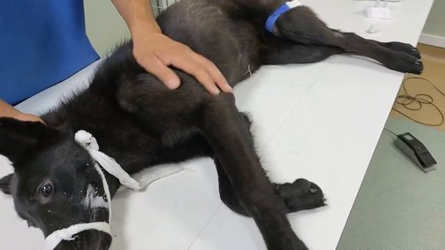 На пределе сил - Аргона_forgive us смотреть онлайн