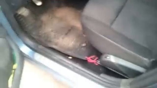 RENAULT Logan 2011 года смотреть онлайн