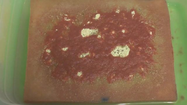 Аулофорус Сколько наливать воды. смотреть онлайн