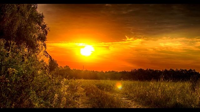 Музыка Не Обусловленная Временем! К Элизе - Людвиг Ван Бетховен! смотреть онлайн