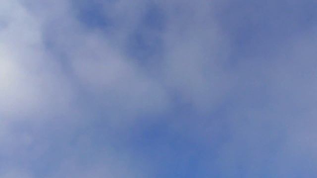 ТУМАН и голуби Высоколётные голуби исчезают в низкую облачность смотреть онлайн