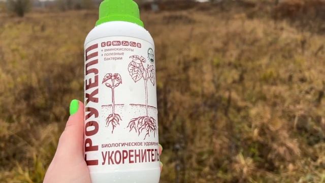 Посадка саженцев малины осенью с биопрепаратами Экодачник