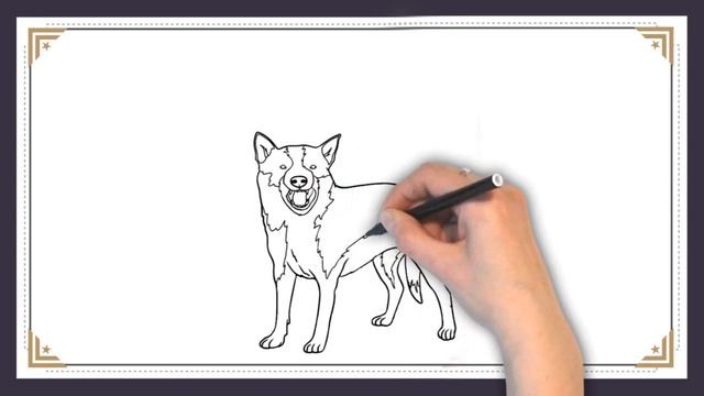 Drawing an Australian Map with an Australian Cattle Dog: A Creative Journey| MQ Drawings #mqdrawing смотреть онлайн