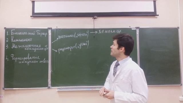 Иммунитет. Часть 2. Как _работает_ иммунитет.mp4 смотреть онлайн
