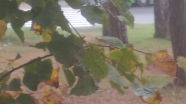 маз103 номер 241борисов ляхова смотреть онлайн