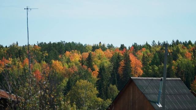 4 ДНЯ ЧТОБЫ СОБРАТЬ ВЕСЬ УРОЖАЙ смотреть онлайн