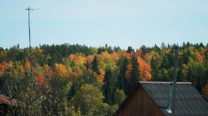 4 ДНЯ ЧТОБЫ СОБРАТЬ ВЕСЬ УРОЖАЙ