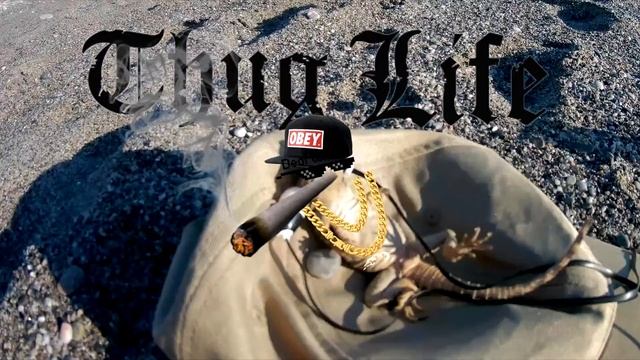 Mlg oldschool back to the future смотреть онлайн