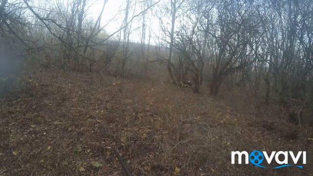 #10 Охота на кабана с Лайками смотреть онлайн