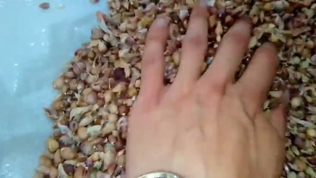 Воздушка любаша от канала золотой чеснок смотреть онлайн