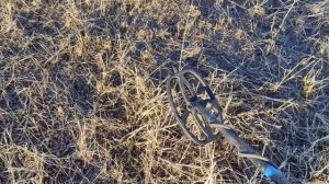 квест х5 обзор , настройки , как ходить , и коп что получилось.