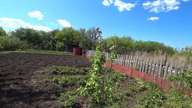 Дети купили дачу🌼 смотреть онлайн
