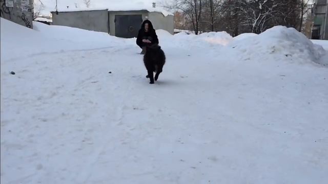 Блек Джек смотреть онлайн