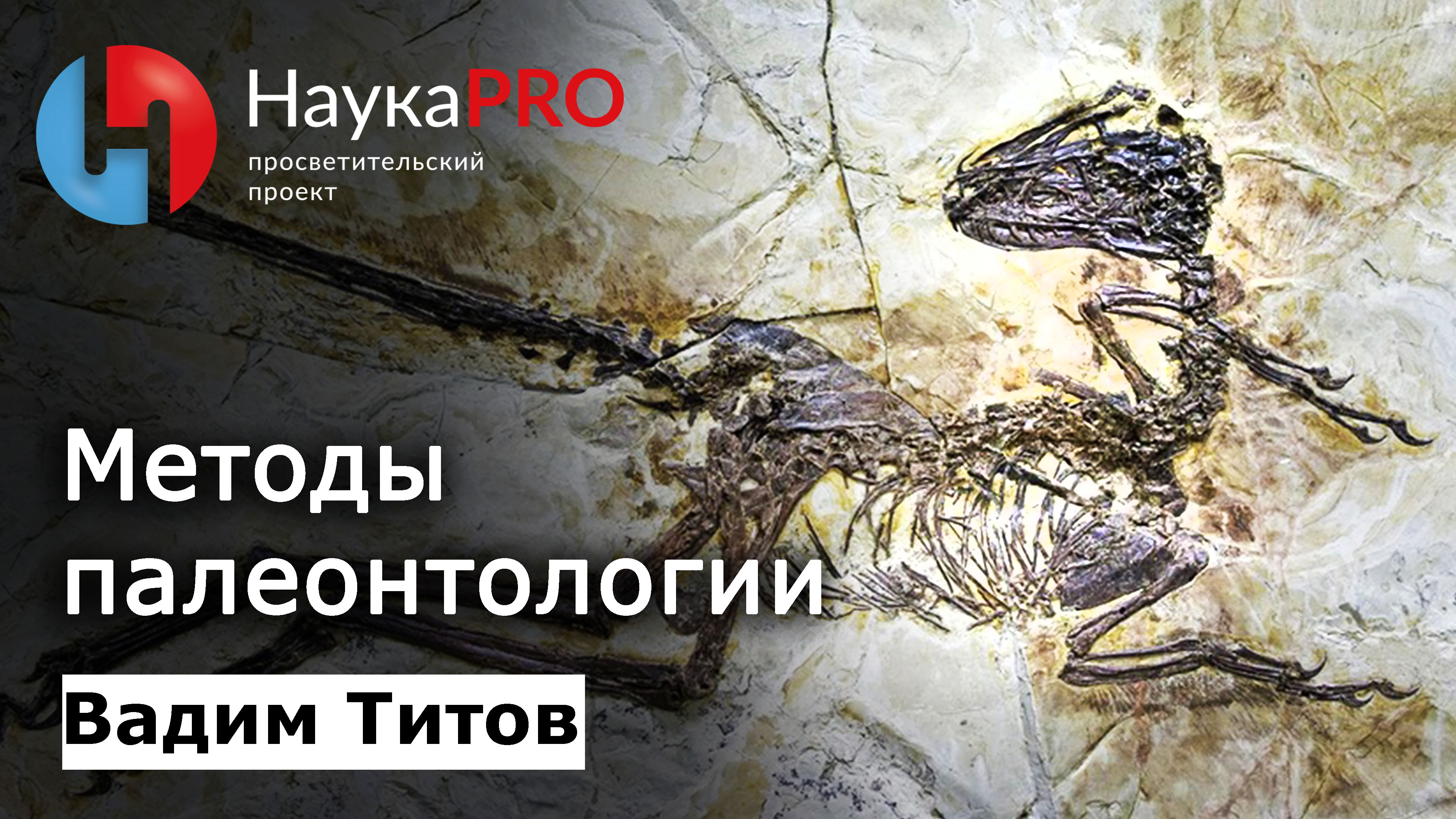 Методы палеонтологии | Лекции по палеонтологии – палеонтолог Вадим Титов | Научпоп смотреть онлайн