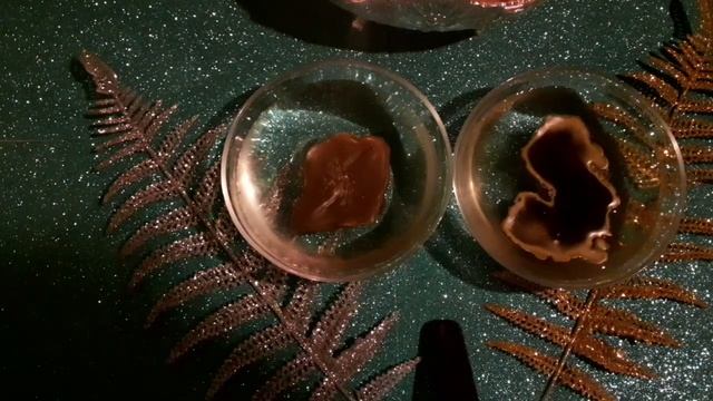 Прогноз на 15 - 21 февраля. смотреть онлайн