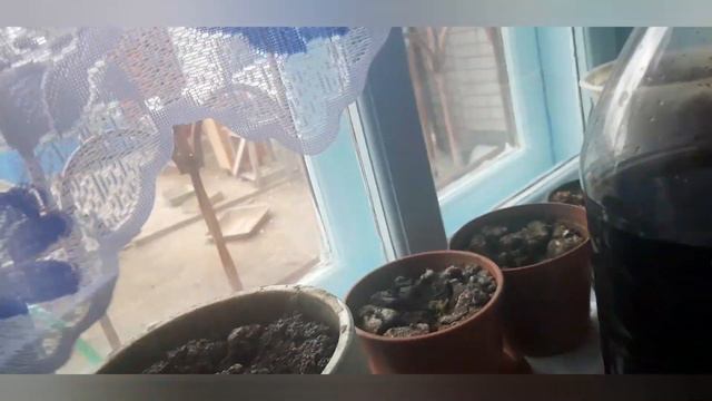Рождество # шашлыки мы в гостях смотреть онлайн