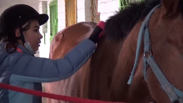 Конно спортивнвная школа Альшеевского района смотреть онлайн