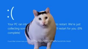 Huh Cat but it's Different Sounds